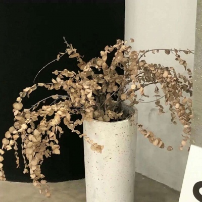 宝安福瑞交流群